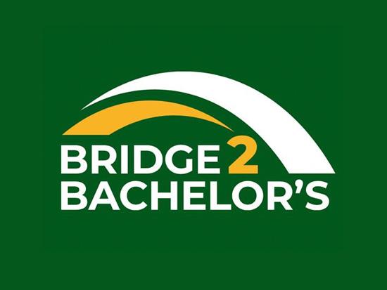Bridge2Bachelor's
